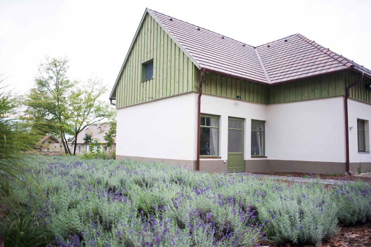 Pajta Apartman Es Vendeghaz Tata Exteriér fotografie