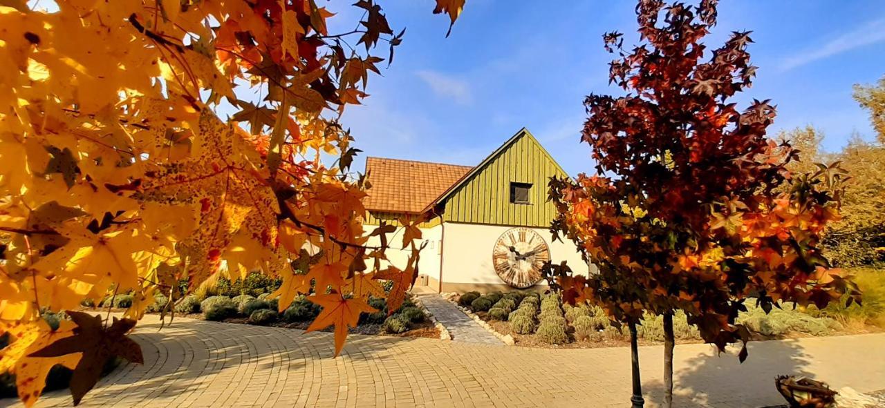 Pajta Apartman Es Vendeghaz Tata Exteriér fotografie